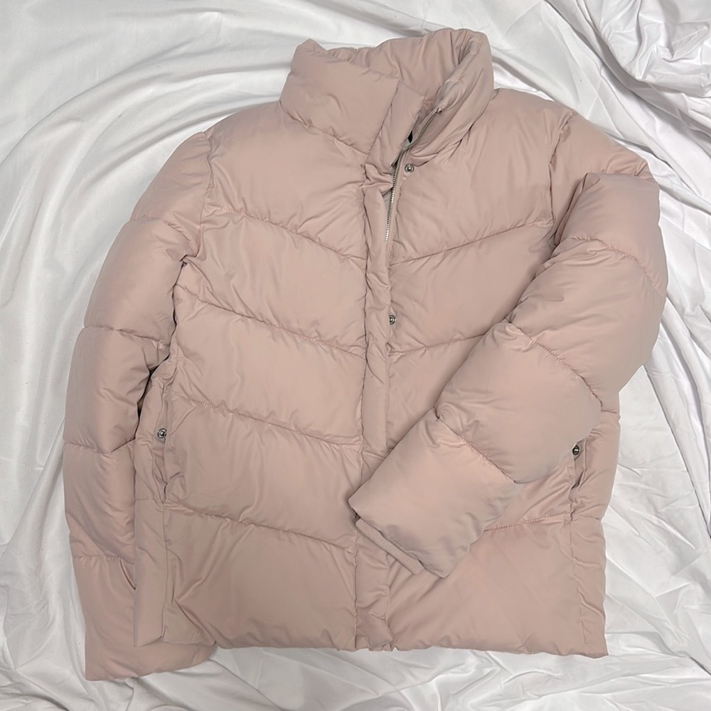 Express Puffer Jacket! NWT